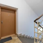 Romantic Fireplace ブルノ